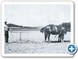 Plöjning med häst på Brunna gård